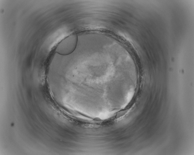 X0000086081306200704202141