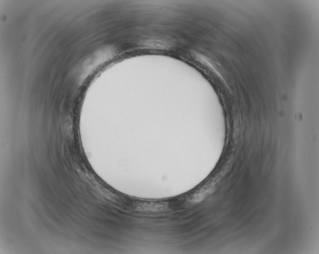 X0000086081307200704202141