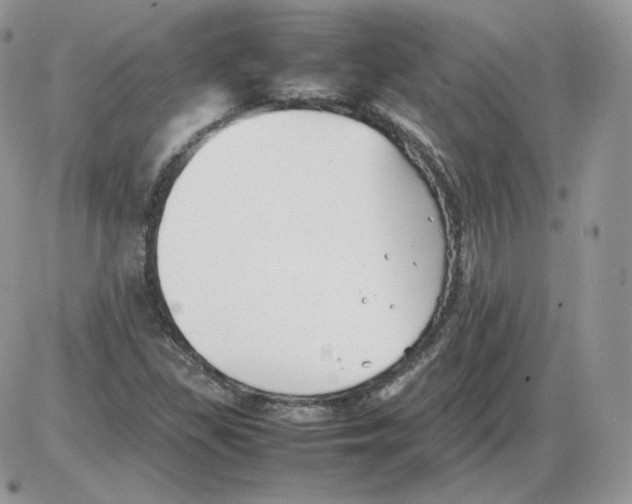 X0000086081309200704202141