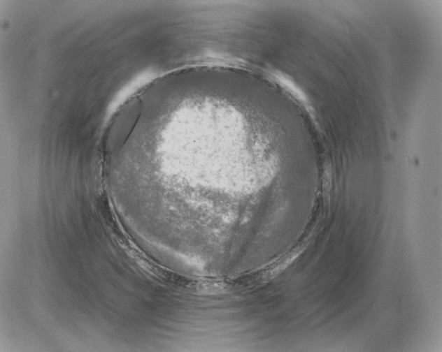 X0000086081310200704202141