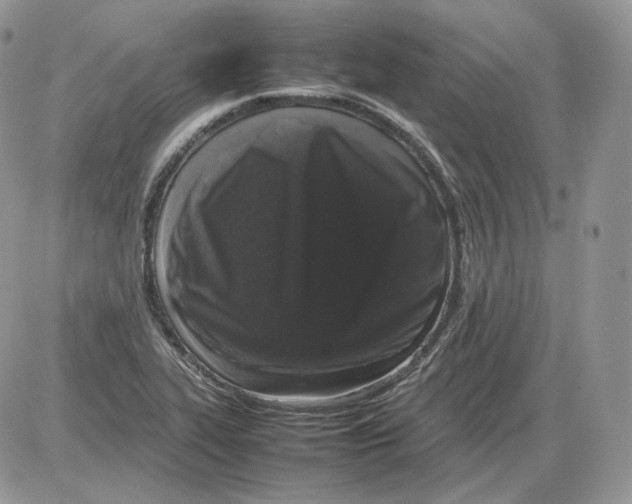 X0000086081319200704202141