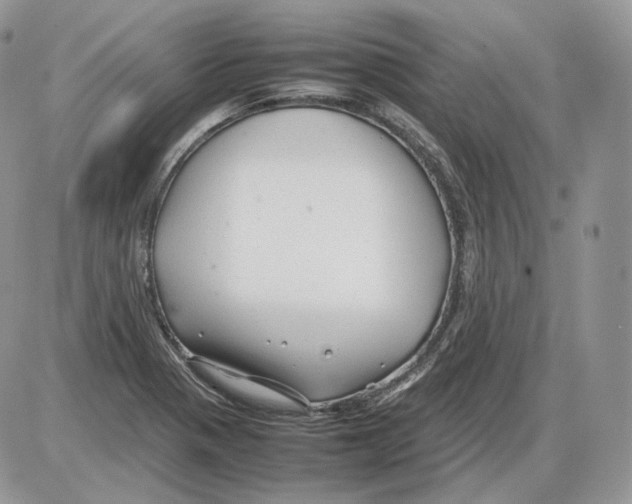 X0000086081321200704202141