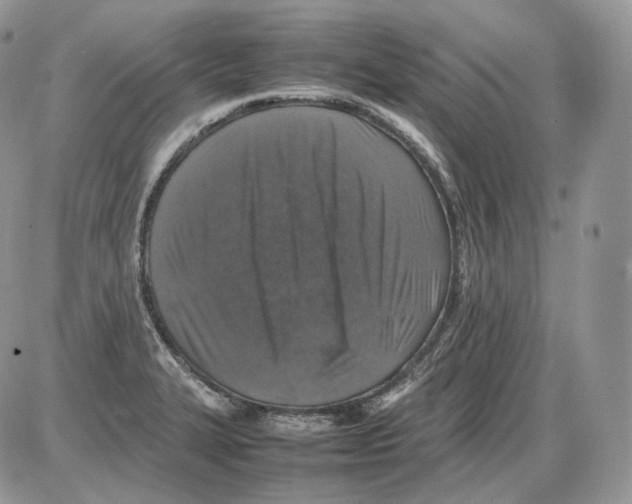 X0000086081327200704202141