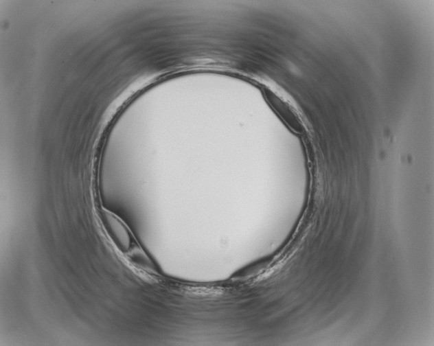 X0000086081333200704202141