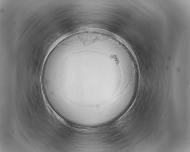 X0000086081338200704202142