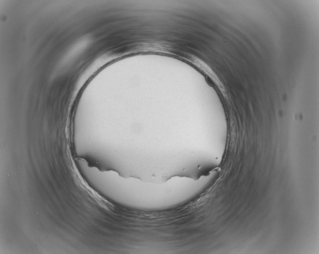 X0000086081339200704202142