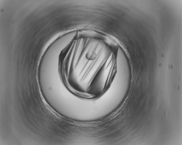 X0000086081342200704202142