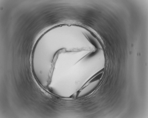 X0000086081343200704202142