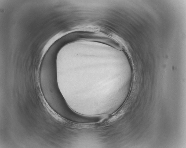 X0000086081344200704202142