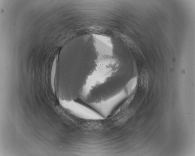 X0000086081346200704202141