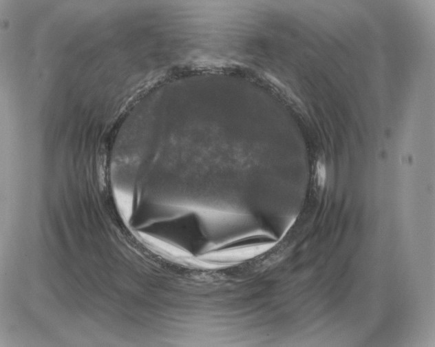 X0000086081348200704202141