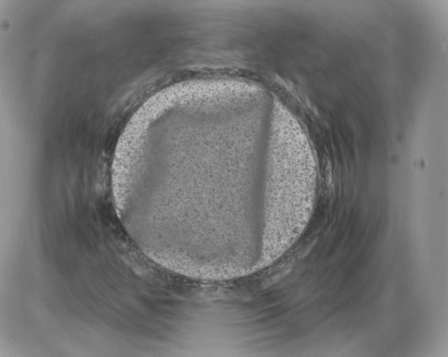 X0000086081350200704202141