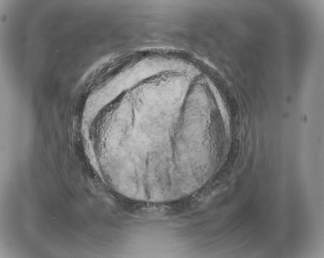 X0000086081351200704202141