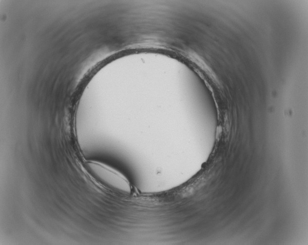 X0000086081356200704202141