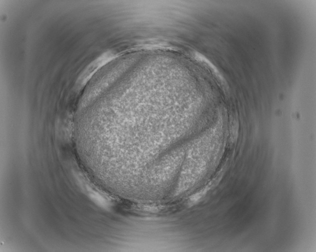 X0000086081361200704202141