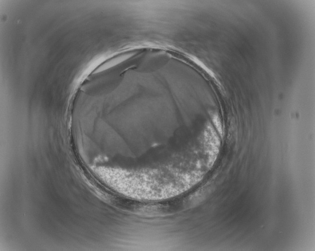 X0000086081367200704202140