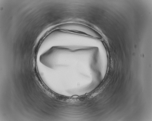 X0000086081368200704202140