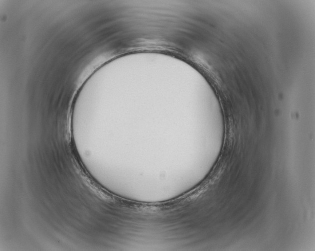 X0000086081370200704202140