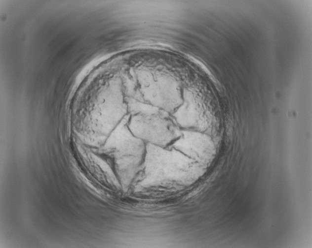 X0000086081371200704202140