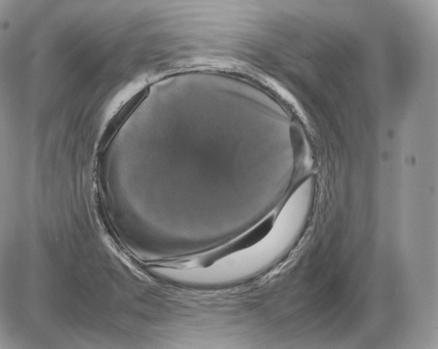 X0000086081373200704202140