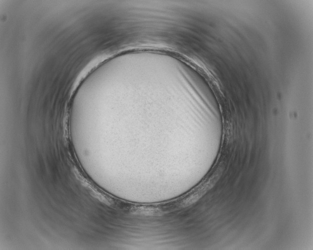 X0000086081374200704202140