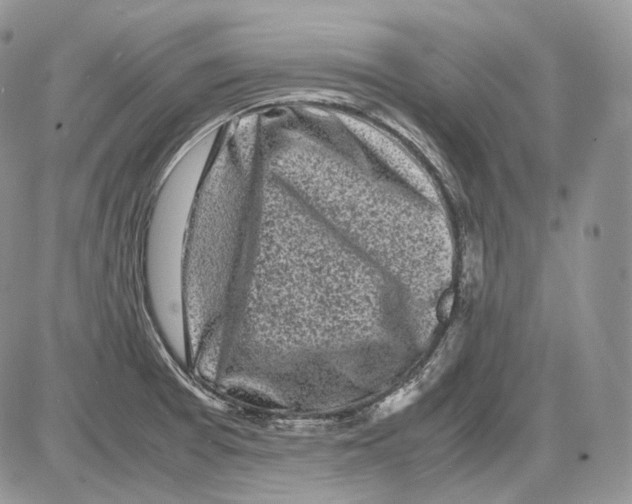 X0000086081377200704202140