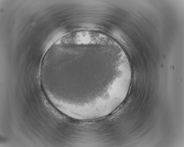 X0000086081378200704202140