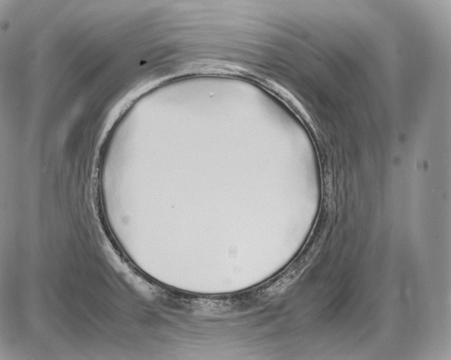 X0000086081379200704202140