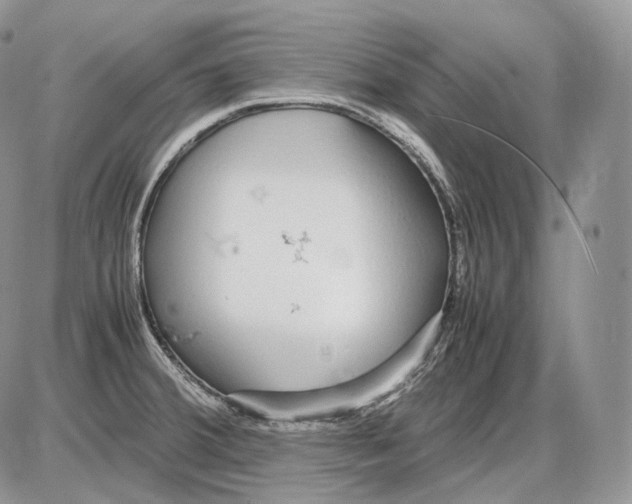 X0000086081380200704202140