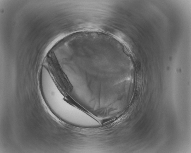 X0000086081383200704202140