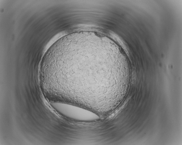 X0000086081386200704202140