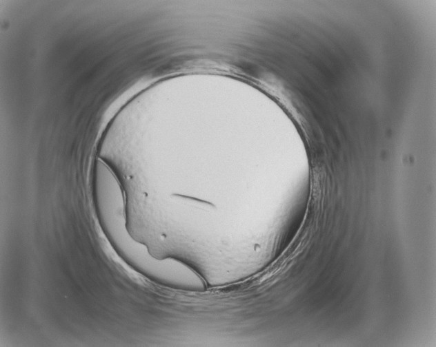 X0000086081387200704202140