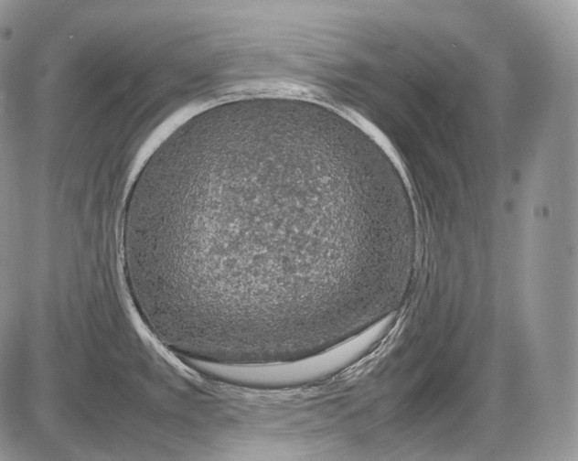 X0000086081389200704202140