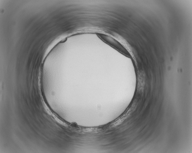 X0000086081390200704202140