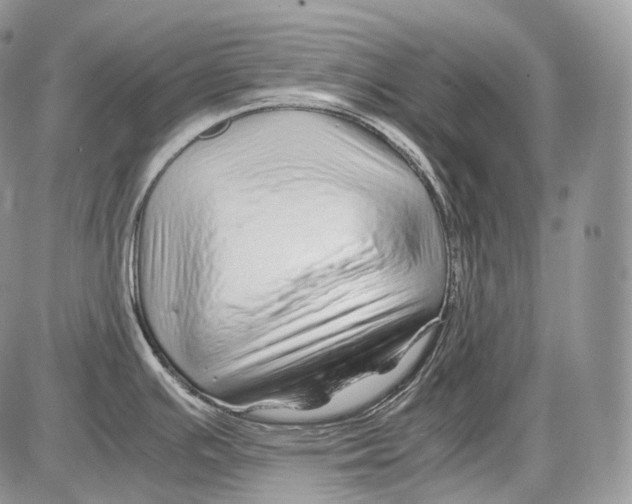 X0000086081391200704202140