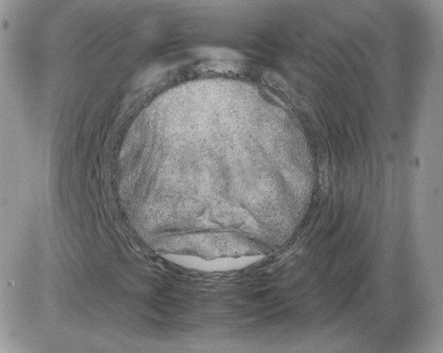 X0000086081393200704202139