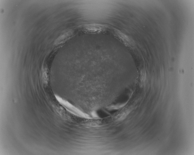 X0000086081394200704202139