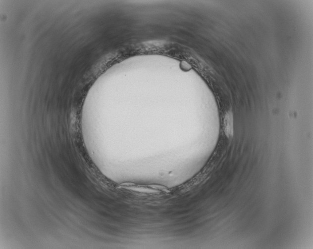 X0000086081395200704202139