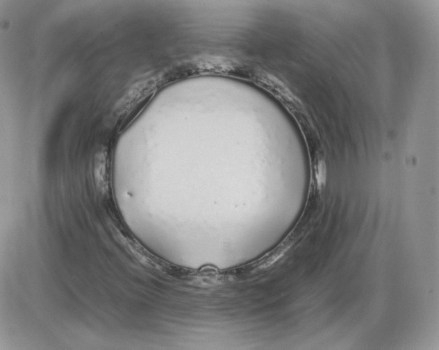 X0000086081396200704202139