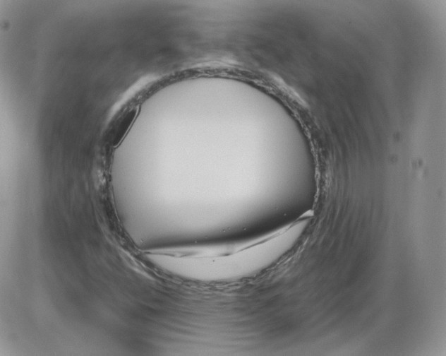 X0000086081400200704202139