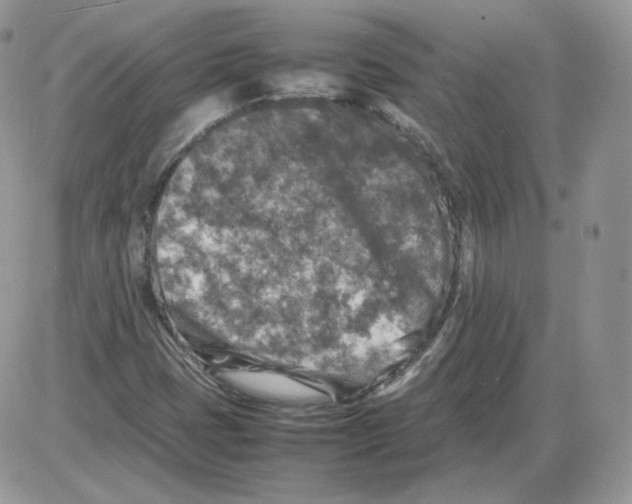 X0000086081401200704202139