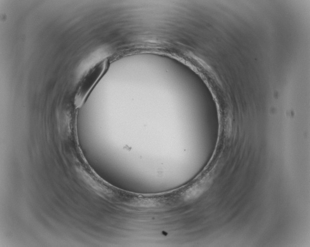 X0000086081402200704202139