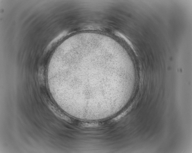 X0000086081403200704202139