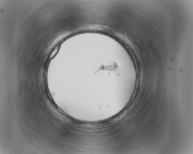 X0000086081404200704202139