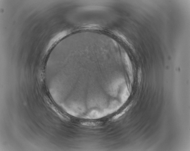 X0000086081405200704202139