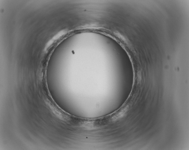 X0000086081406200704202140