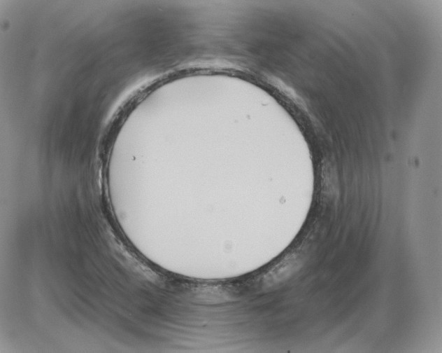 X0000086081408200704202140