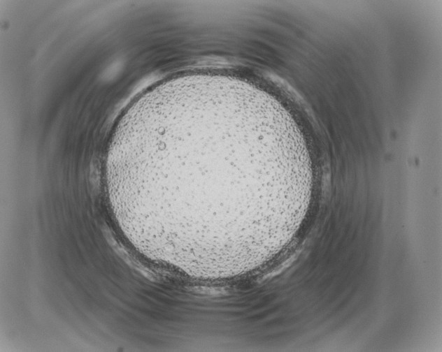 X0000086081409200704202140