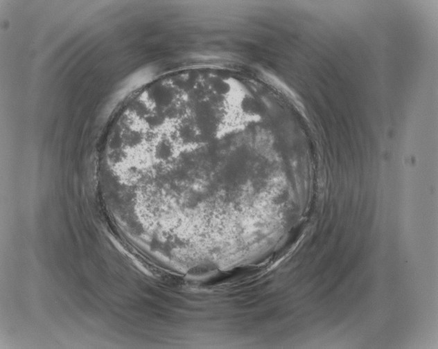 X0000086081411200704202140