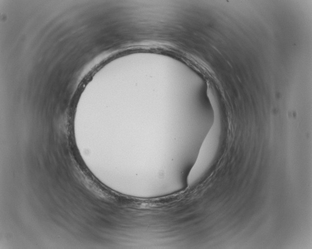 X0000086081412200704202140